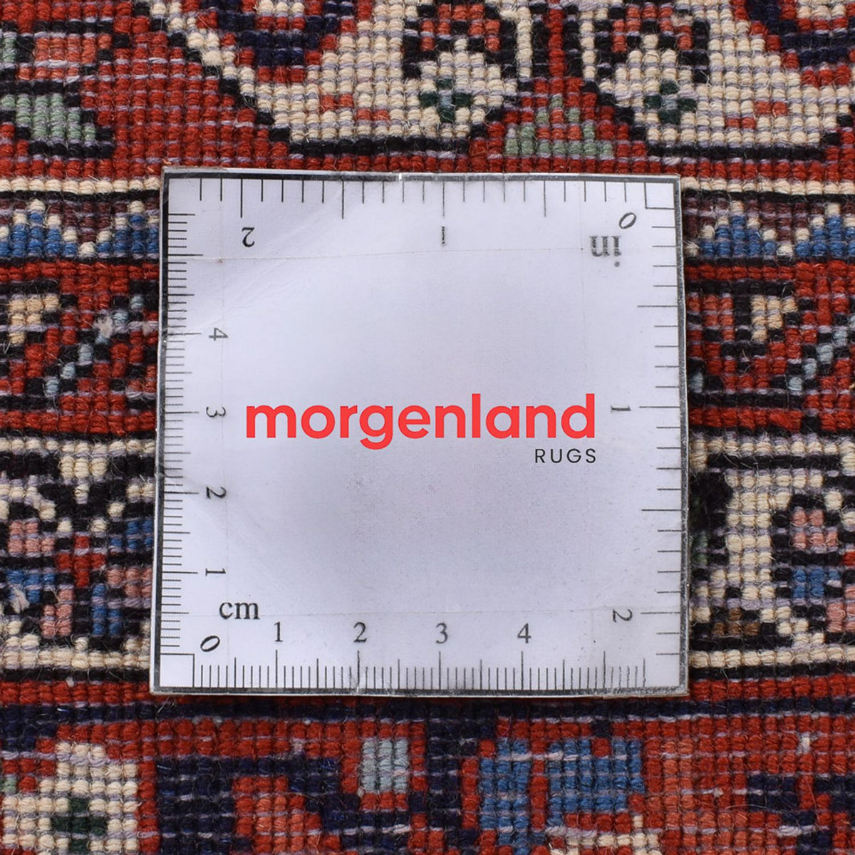 Tappeto Gabbeh - Kashkuli Persero - 248 x 165 cm - sabbia