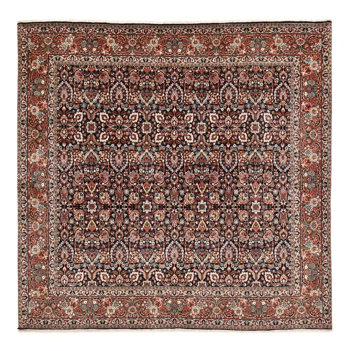 Tappeto Persero - Bidjar quadrato  - 252 x 252 cm - ruggine