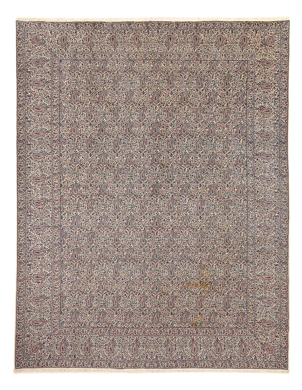 Tappeto Persero - Tabriz - Reale - 398 x 297 cm - grigio