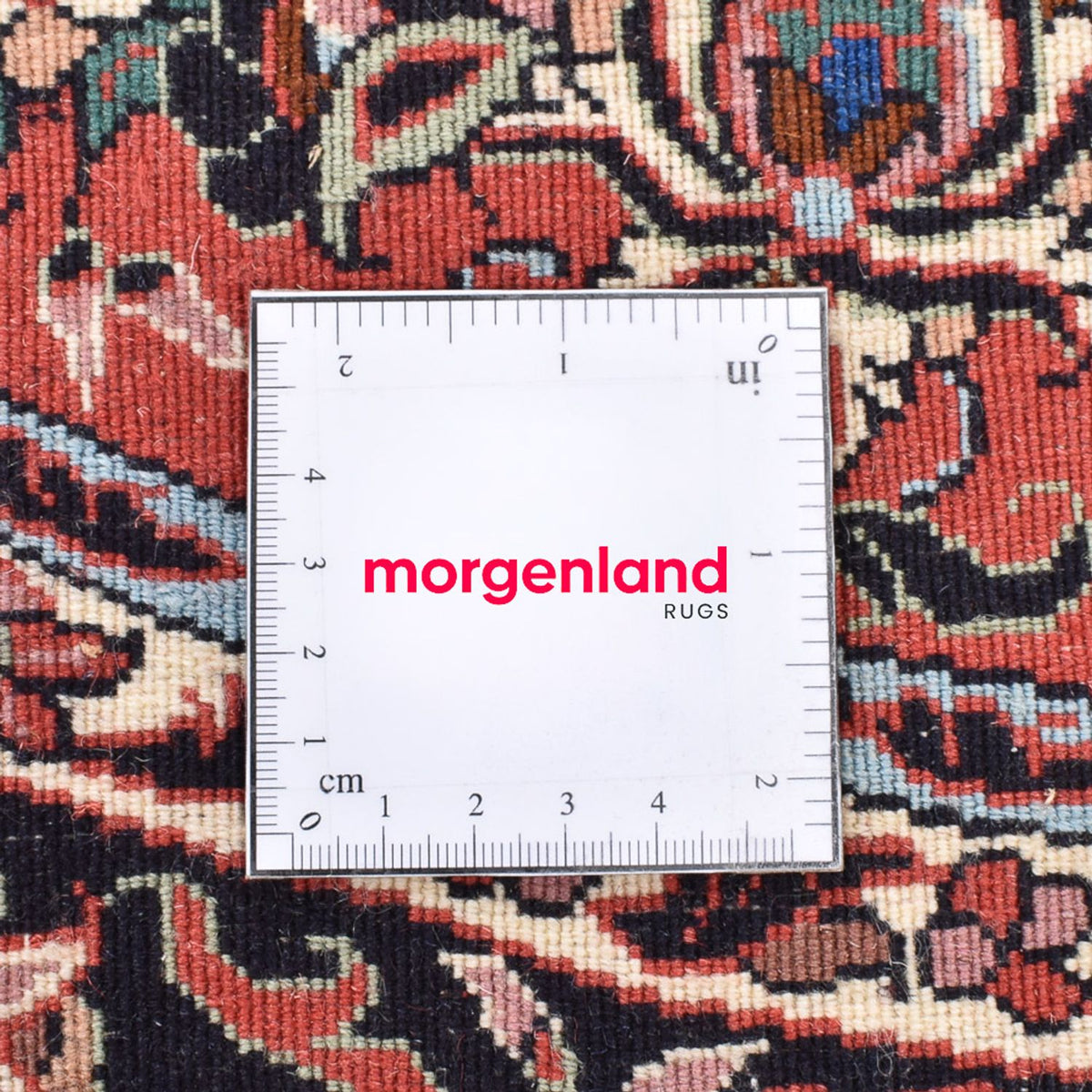 Tappeto Persero - Bidjar rotondo  - 150 x 150 cm - beige