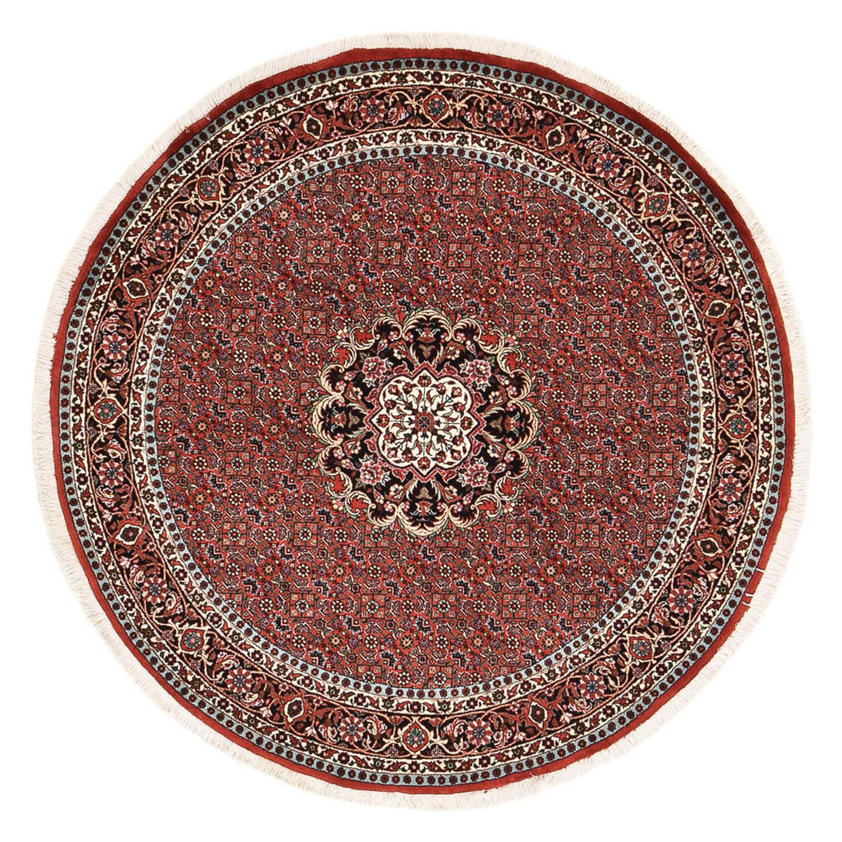 Tappeto Persero - Bidjar rotondo  - 150 x 150 cm - rosso scuro
