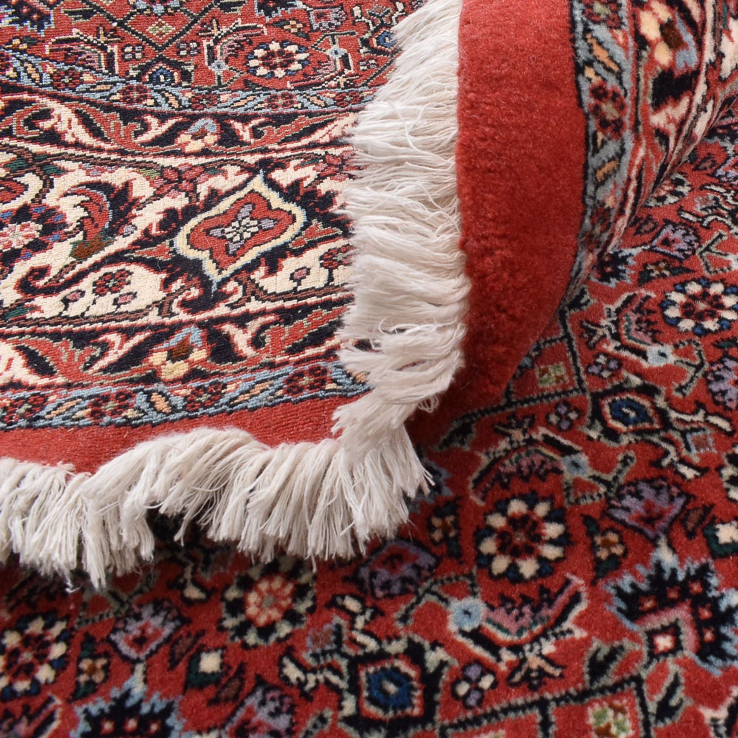 Tappeto Persero - Bidjar rotondo  - 170 x 170 cm - rosso scuro