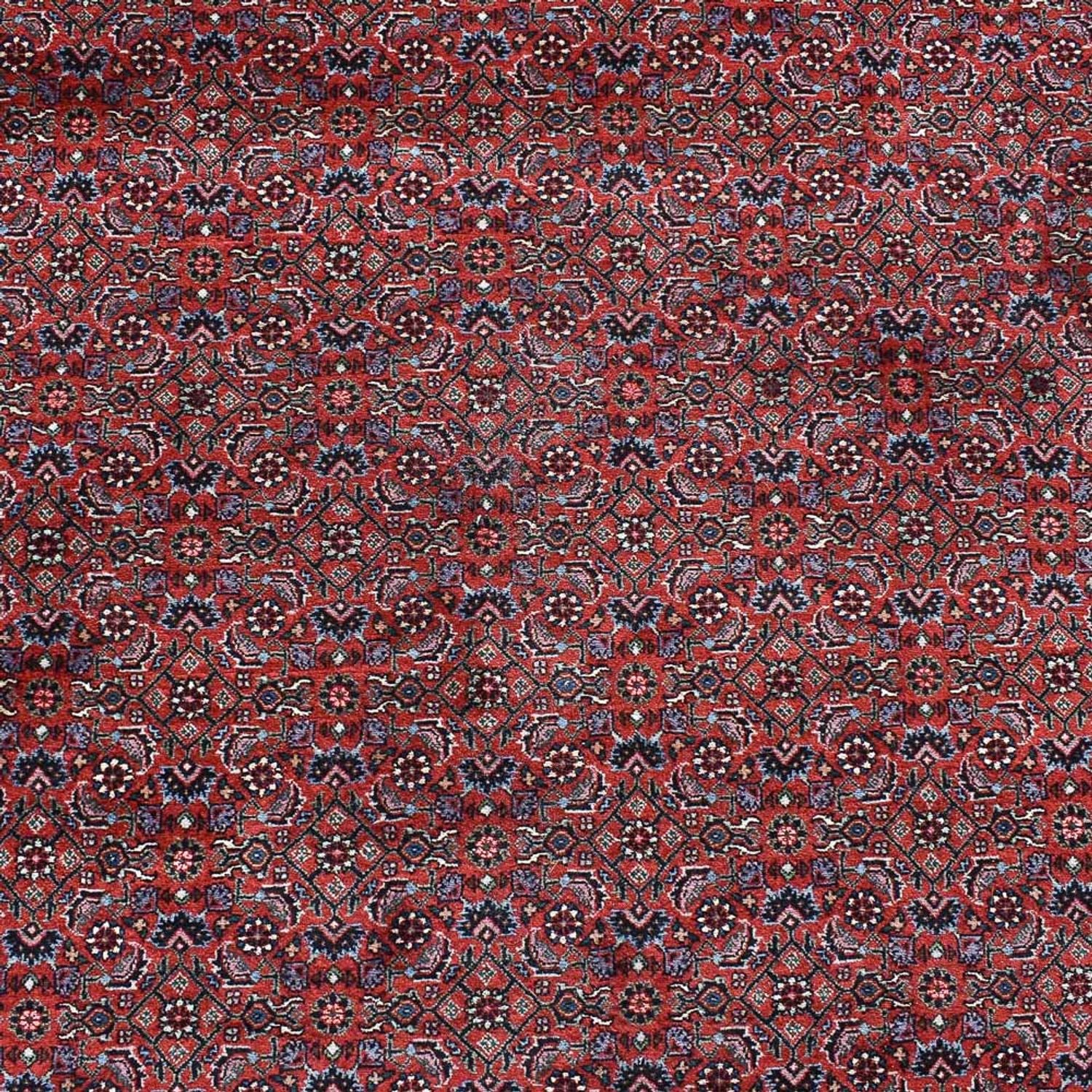Tappeto Persero - Bidjar - 490 x 350 cm - rosso bordeaux