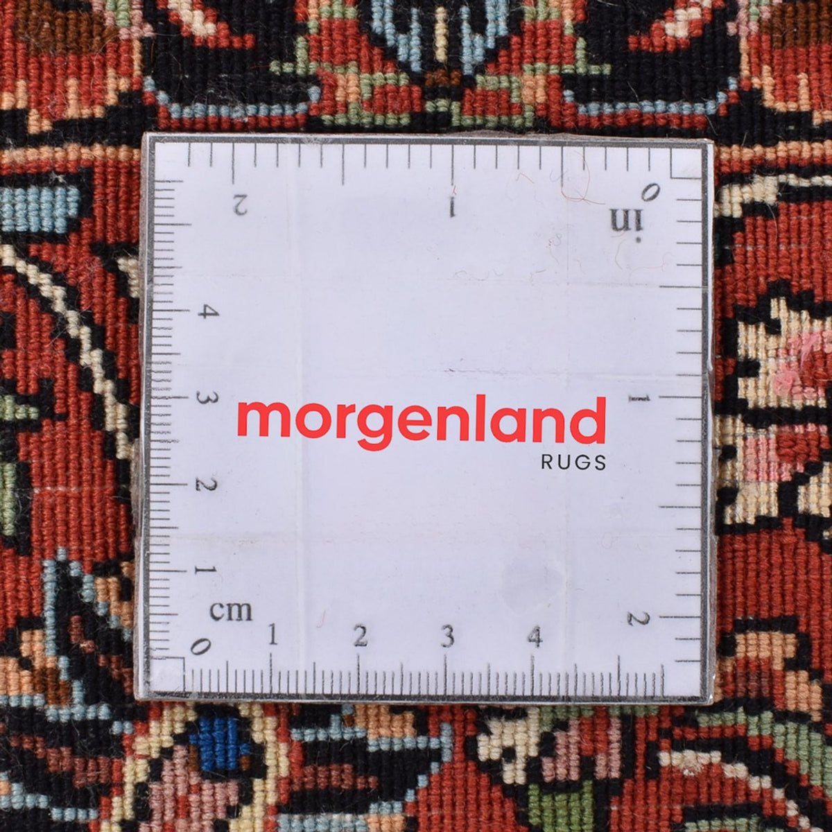 Tappeto Persero - Bidjar quadrato  - 251 x 241 cm - crema