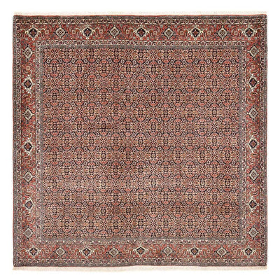 Tappeto Persero - Bidjar quadrato  - 204 x 203 cm - ruggine