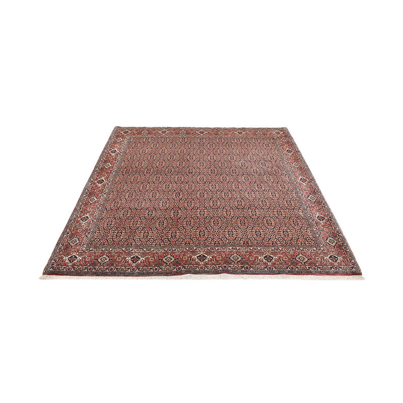 Tappeto Persero - Bidjar quadrato  - 204 x 203 cm - ruggine