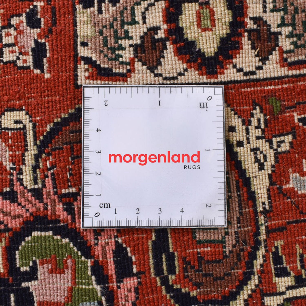 Tappeto Persero - Bidjar - 300 x 198 cm - ruggine