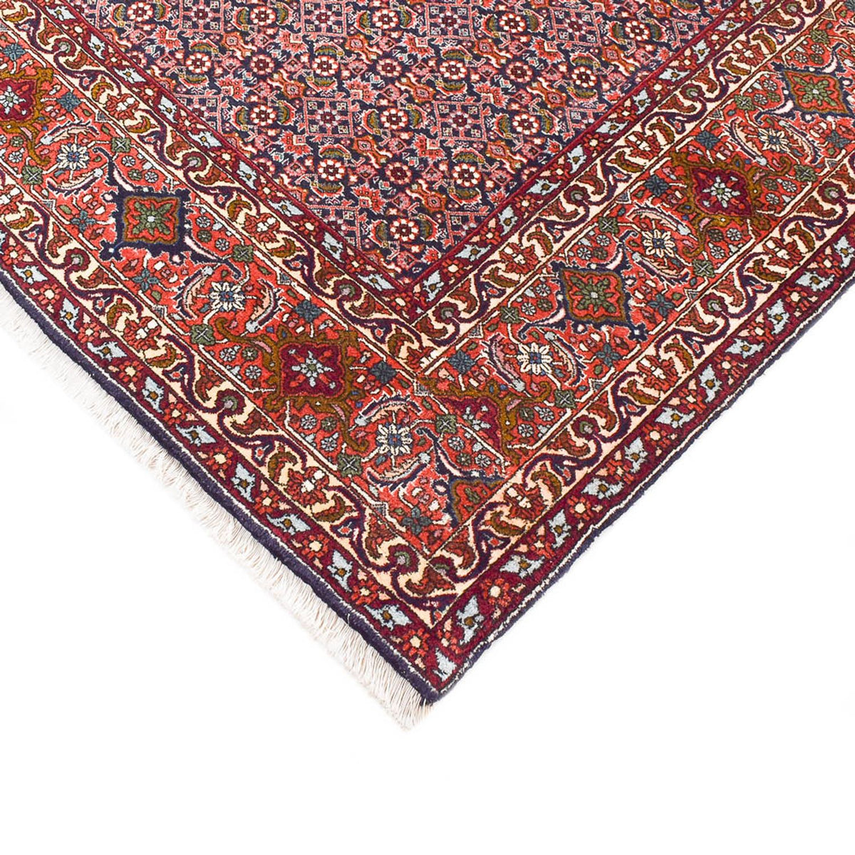 Tappeto Persero - Bidjar - 342 x 263 cm - ruggine