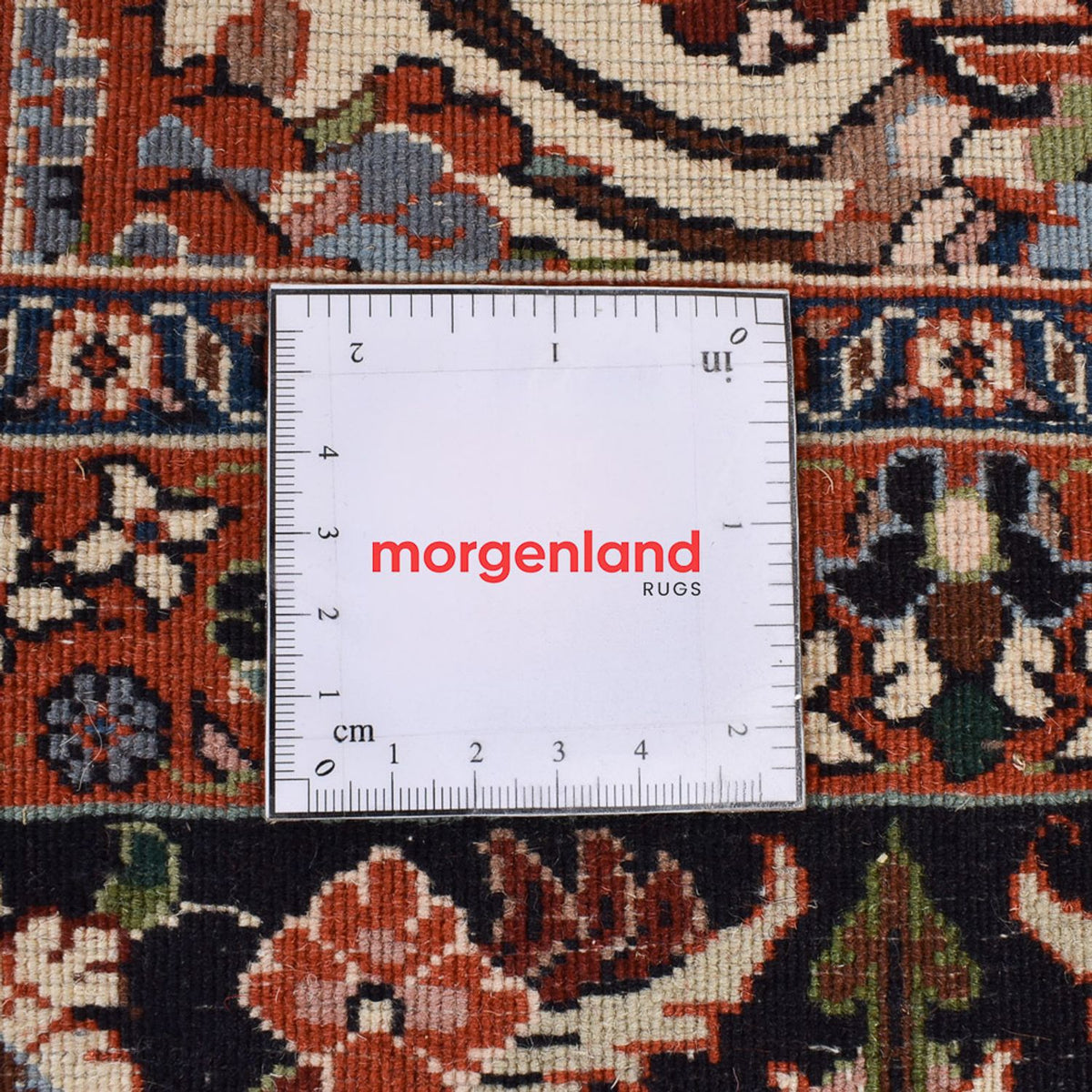 Tappeto Persero - Bidjar - 292 x 204 cm - crema