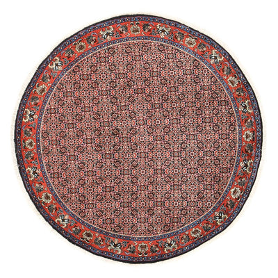 Tappeto Persero - Bidjar rotondo  - 153 x 153 cm - rosso chiaro