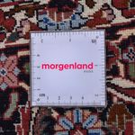 Tappeto Persero - Bidjar rotondo  - 300 x 300 cm - rosso chiaro