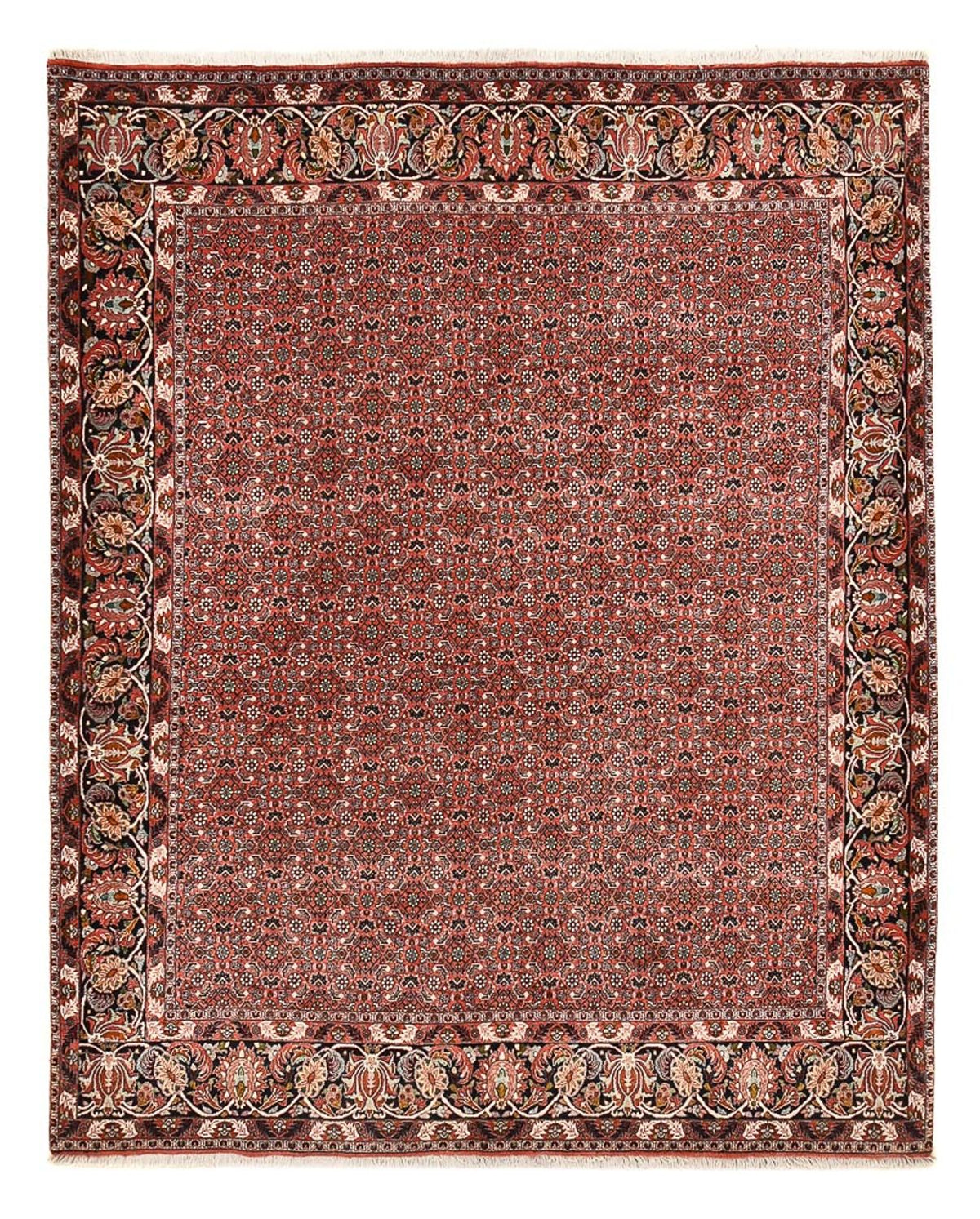 Tappeto Persero - Bidjar - 250 x 200 cm - rosso scuro