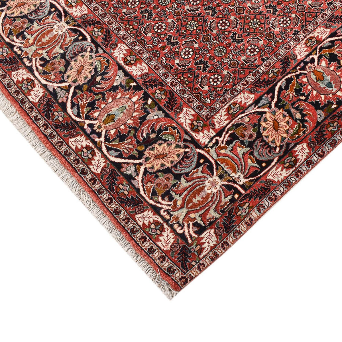 Tappeto Persero - Bidjar - 250 x 200 cm - rosso scuro