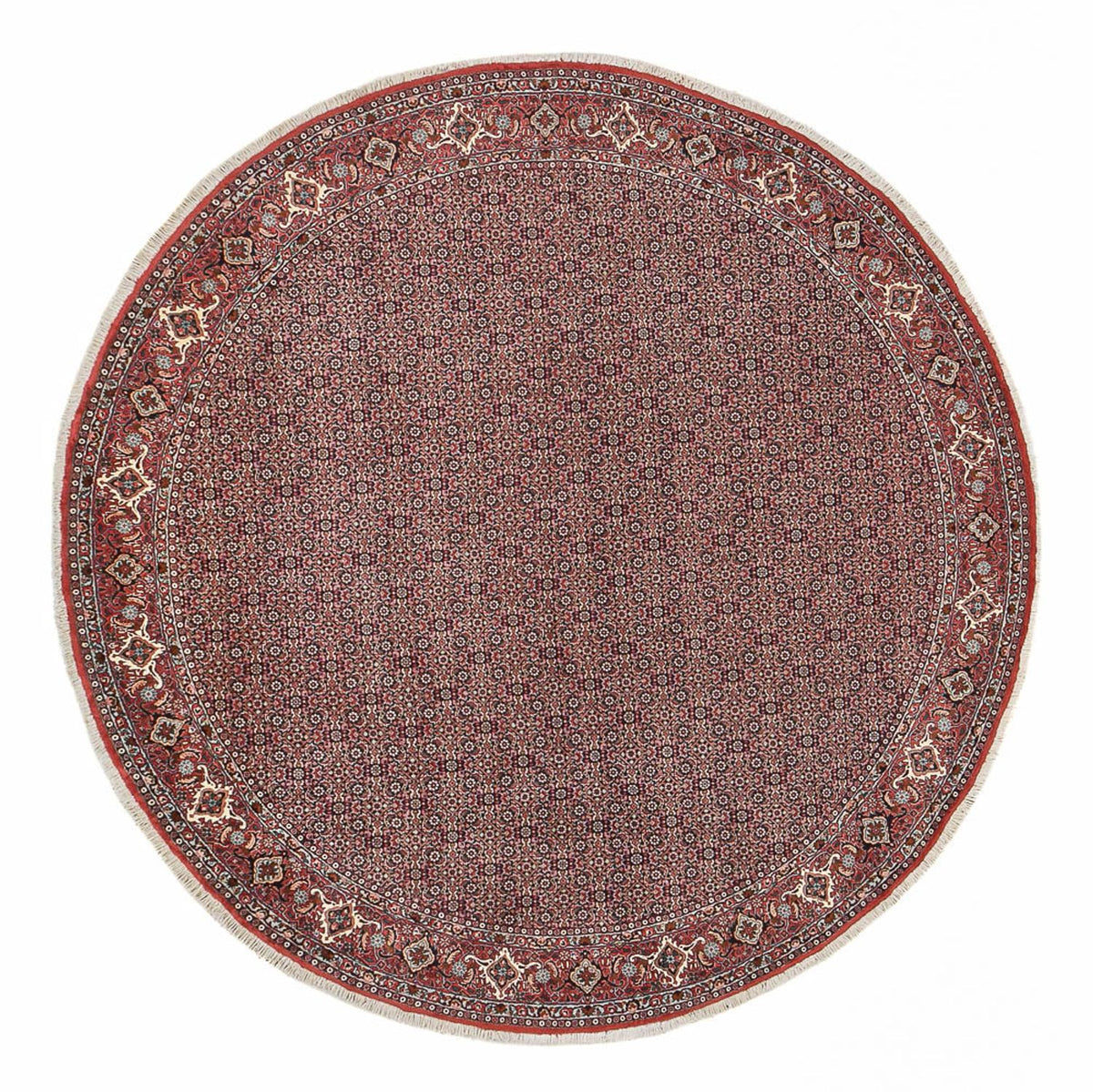 Tappeto Persero - Bidjar rotondo  - 300 x 300 cm - rosso scuro