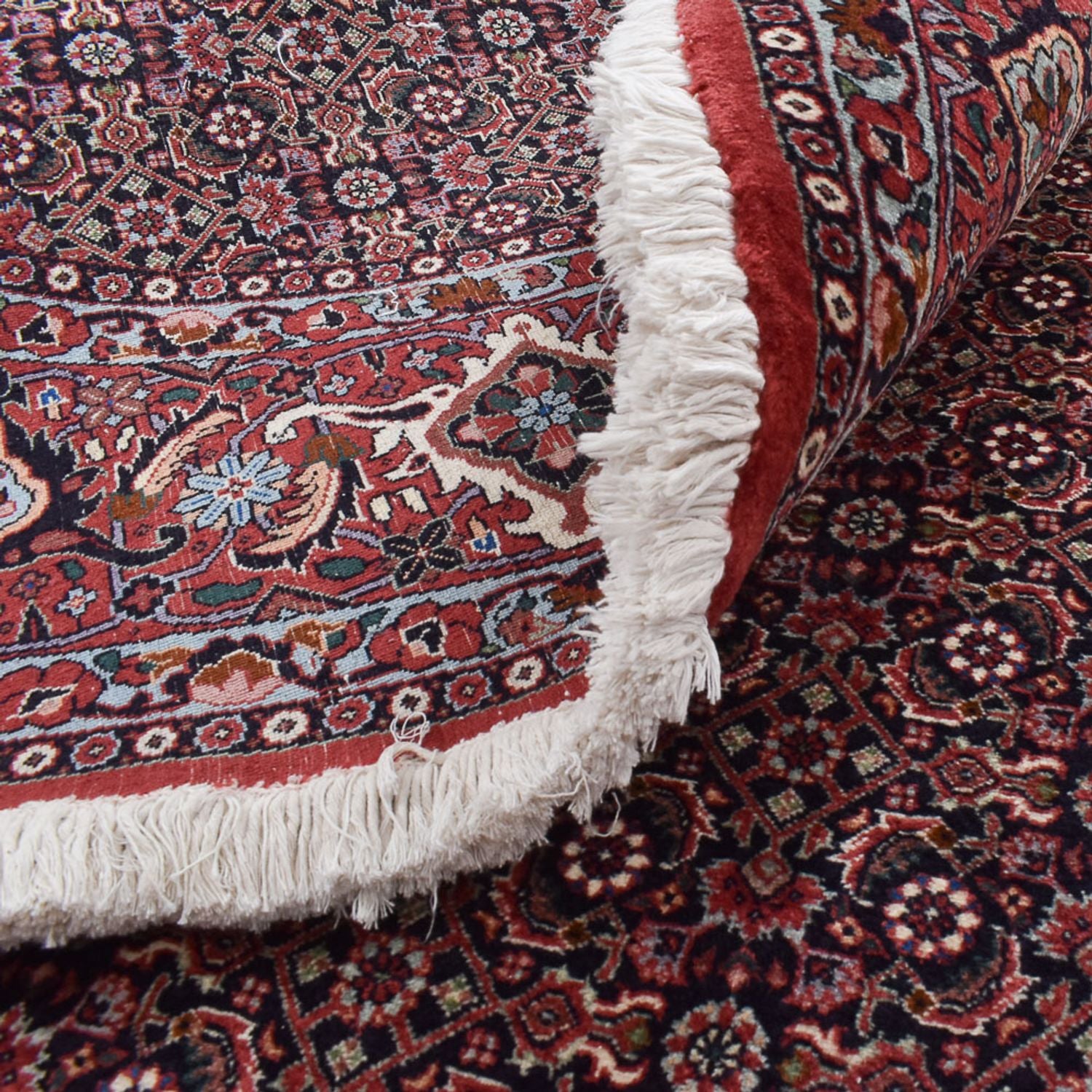 Tappeto Persero - Bidjar rotondo  - 300 x 300 cm - rosso scuro
