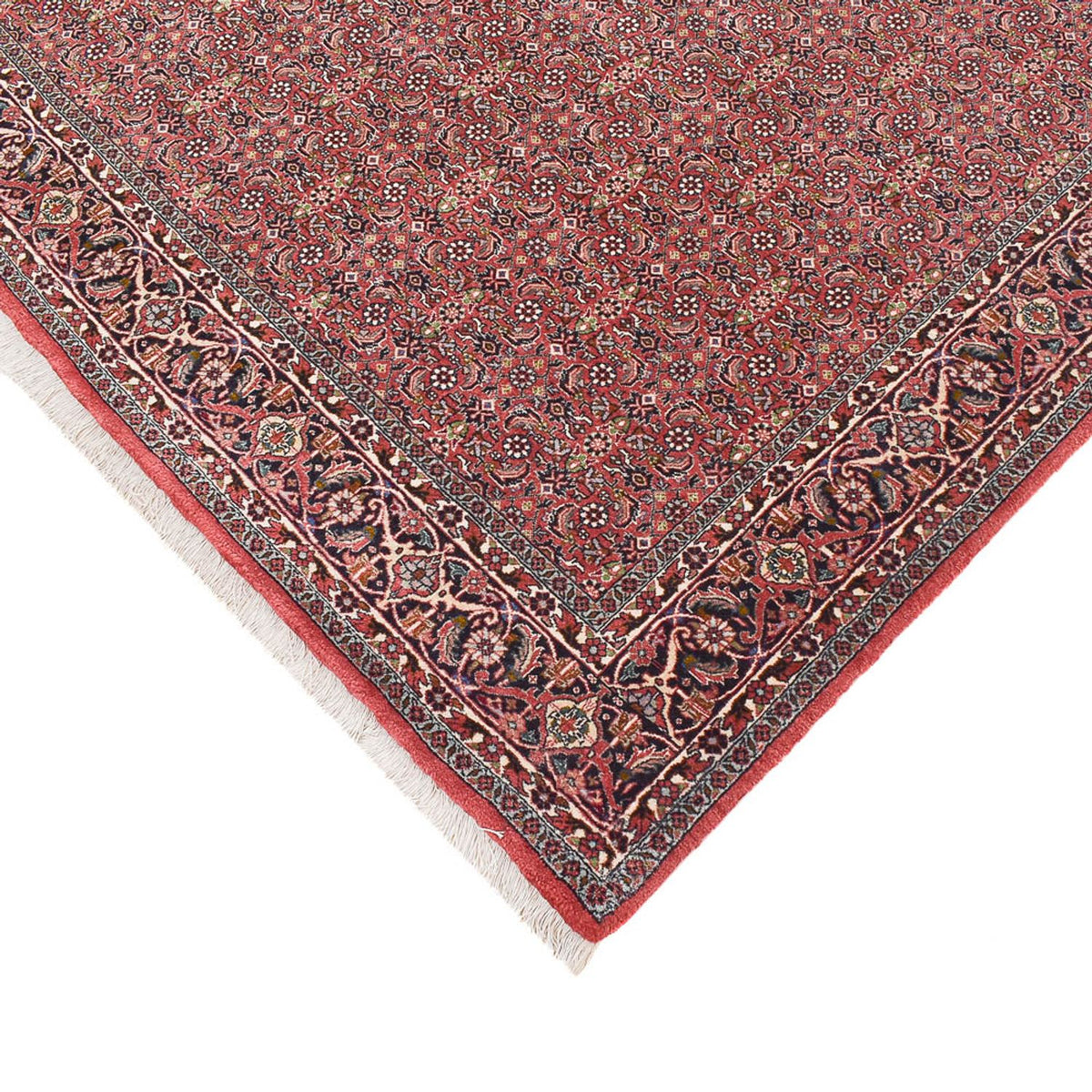 Tappeto corsia Tappeto Persero - Bidjar - 393 x 152 cm - ruggine