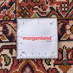 Tappeto corsia Tappeto Persero - Bidjar - 405 x 207 cm - ruggine