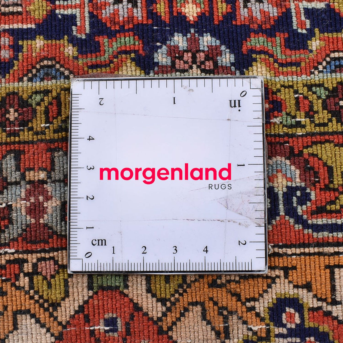 Tappeto Persero - Bidjar - 294 x 260 cm - rosso