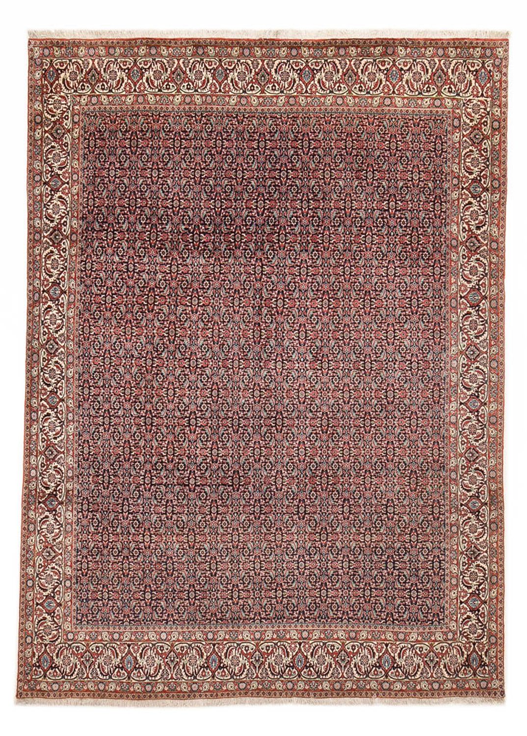 Tappeto Persero - Bidjar - 337 x 247 cm - ruggine