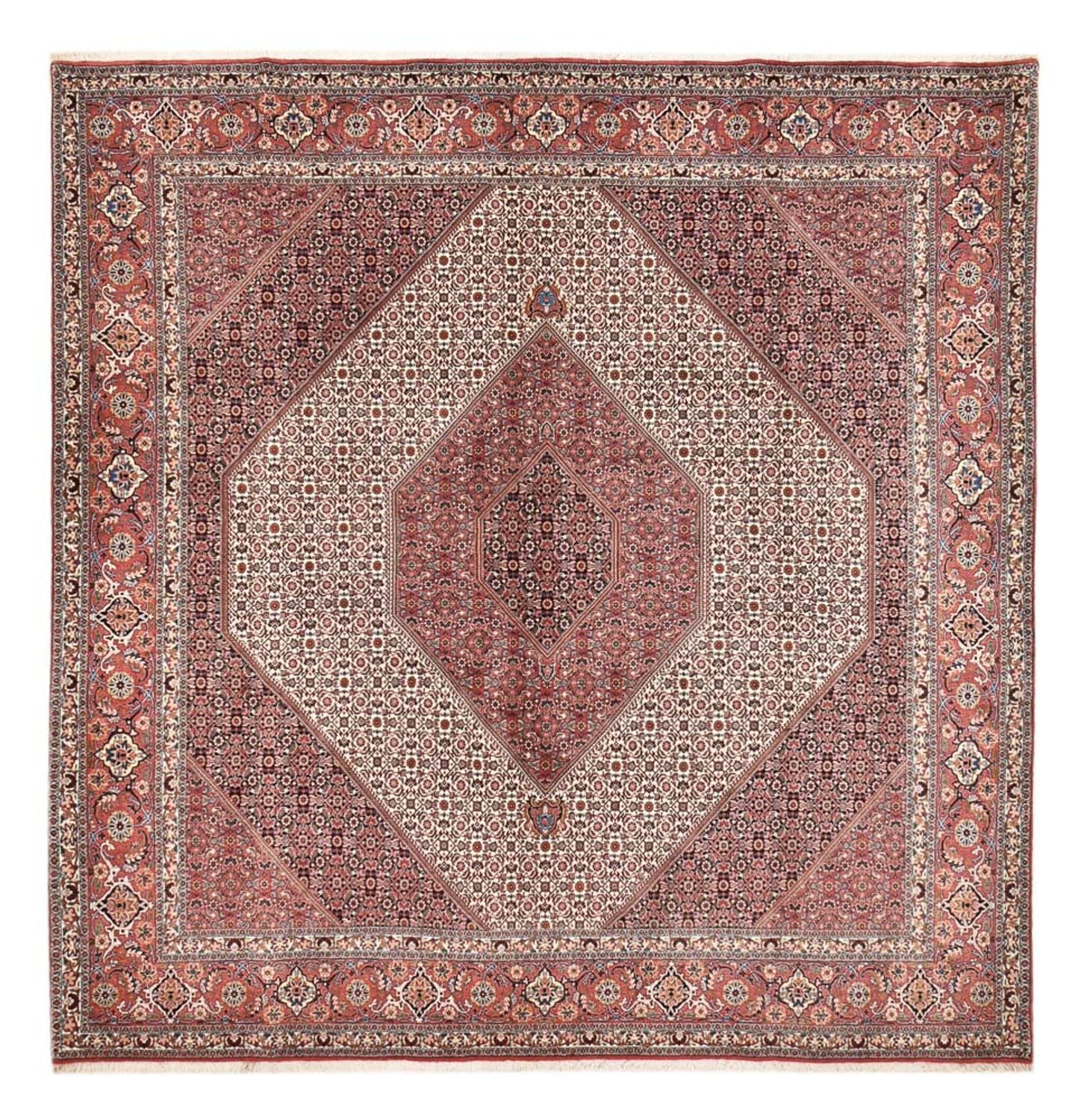Tappeto Persero - Bidjar quadrato  - 307 x 300 cm - ruggine
