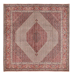 Tappeto Persero - Bidjar quadrato  - 307 x 300 cm - ruggine