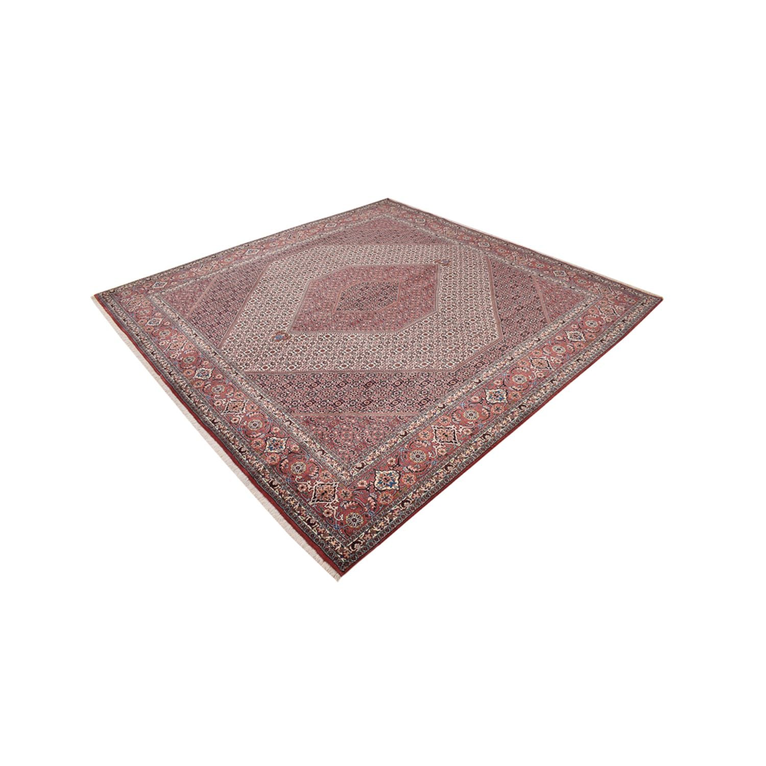Tappeto Persero - Bidjar quadrato  - 307 x 300 cm - ruggine