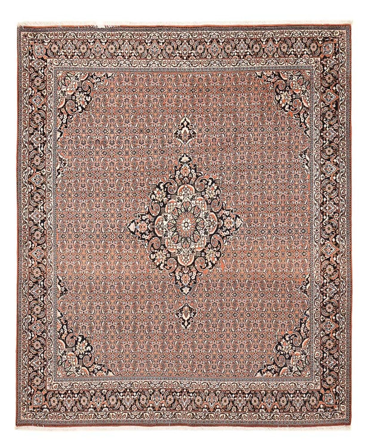 Tappeto Persero - Bidjar - 312 x 252 cm - ruggine