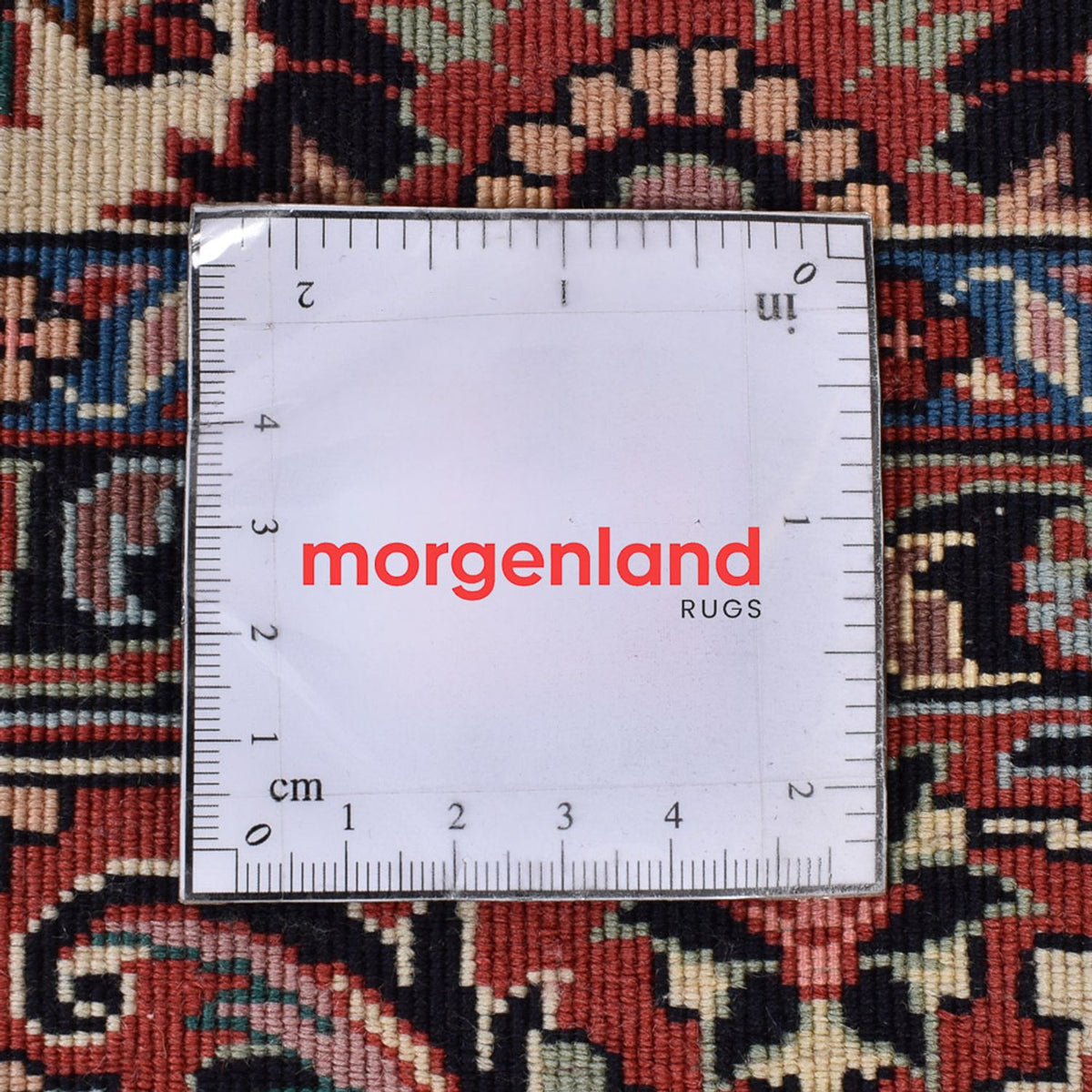 Tappeto Persero - Bidjar - 249 x 172 cm - ruggine