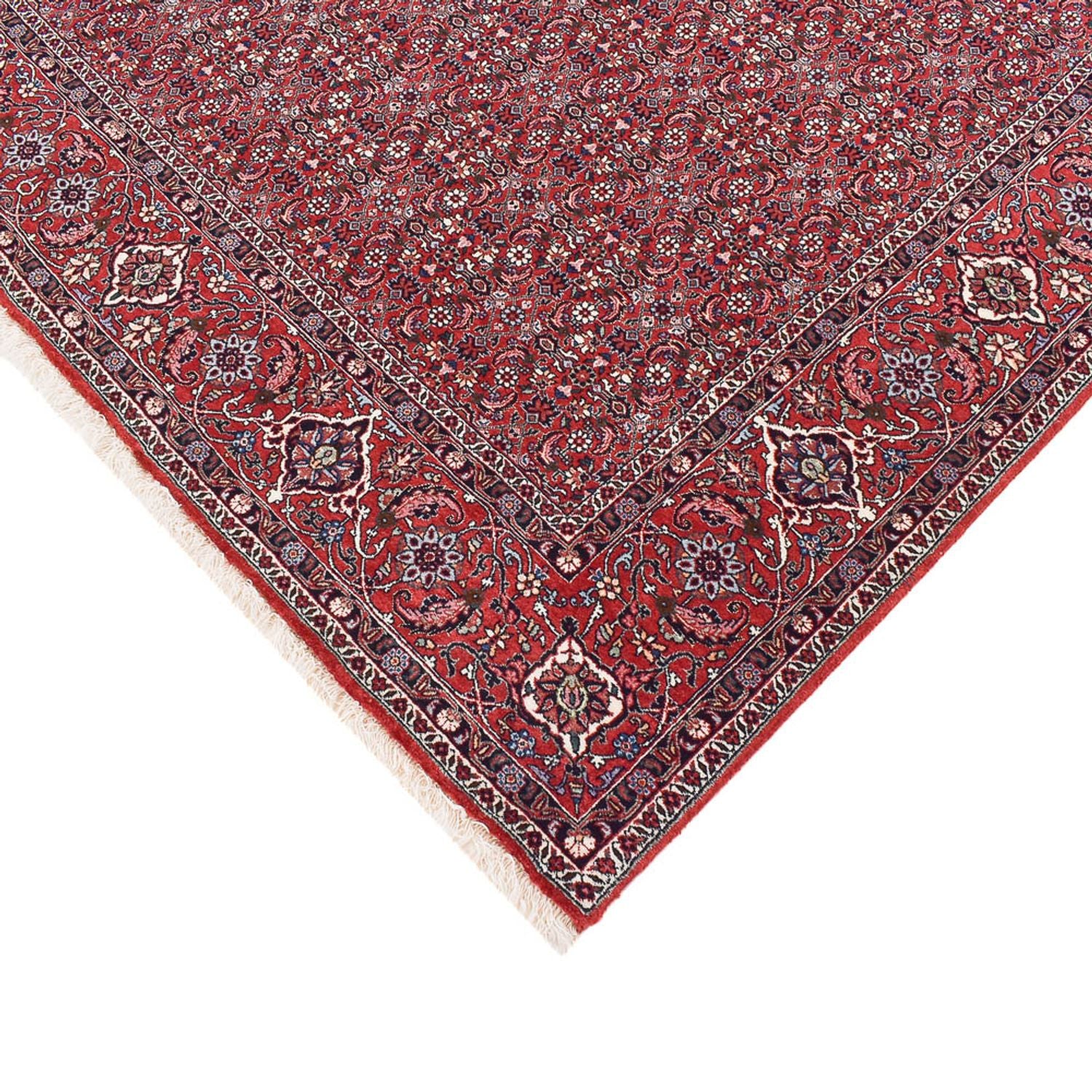Tappeto Persero - Bidjar - 347 x 221 cm - ruggine