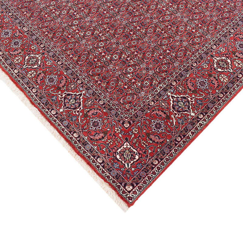Tappeto Persero - Bidjar - 347 x 221 cm - ruggine