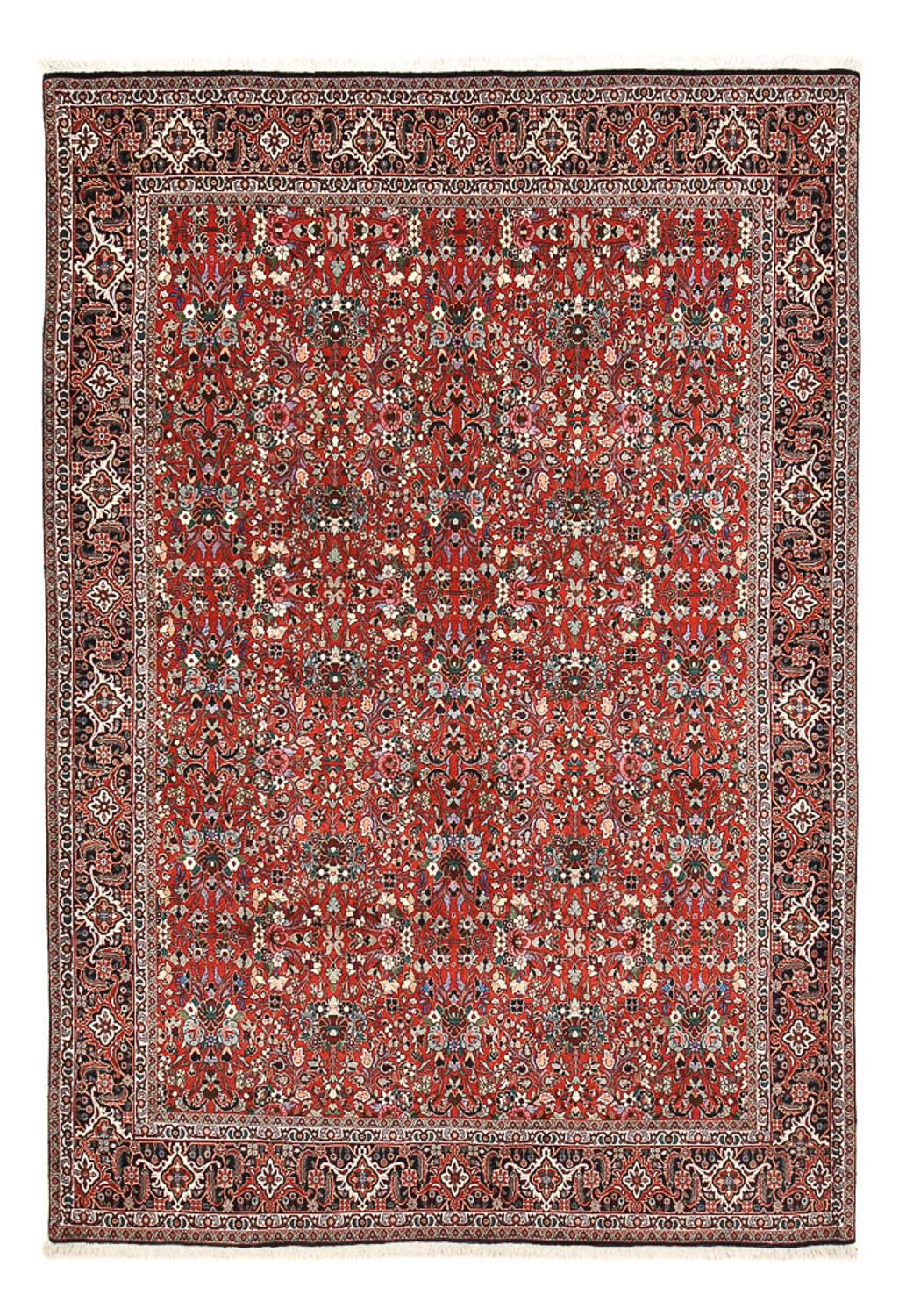 Tappeto Persero - Bidjar - 297 x 206 cm - rosso