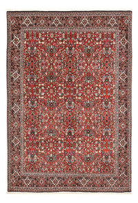 Tappeto Persero - Bidjar - 297 x 206 cm - rosso