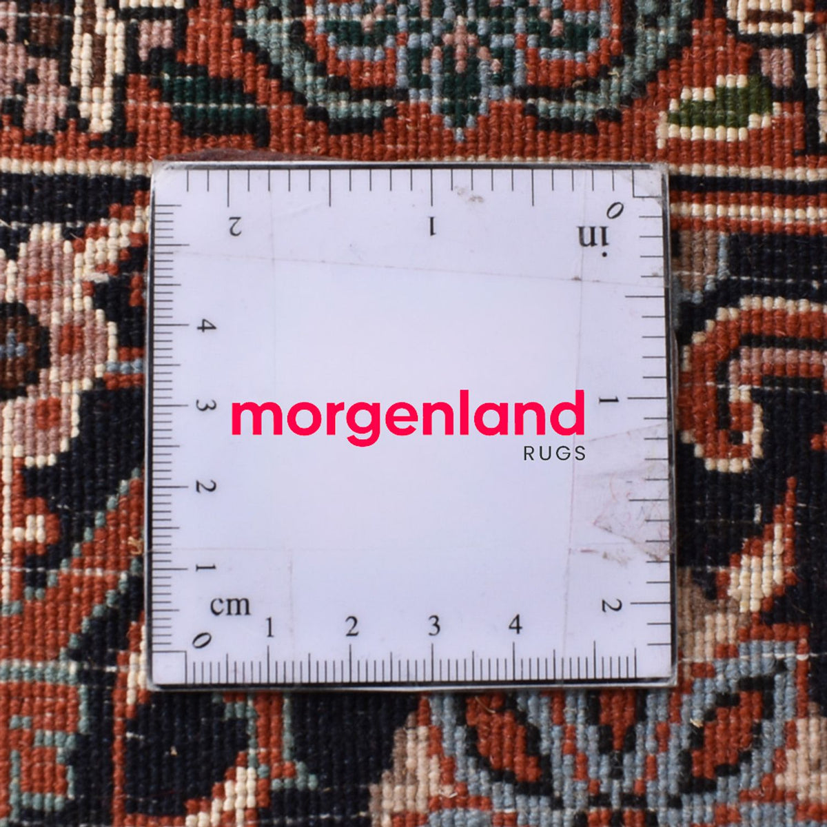 Tappeto Persero - Bidjar - 302 x 205 cm - sabbia