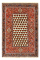 Kashkuli Tappeto 260x172cm - Tappeto persiano