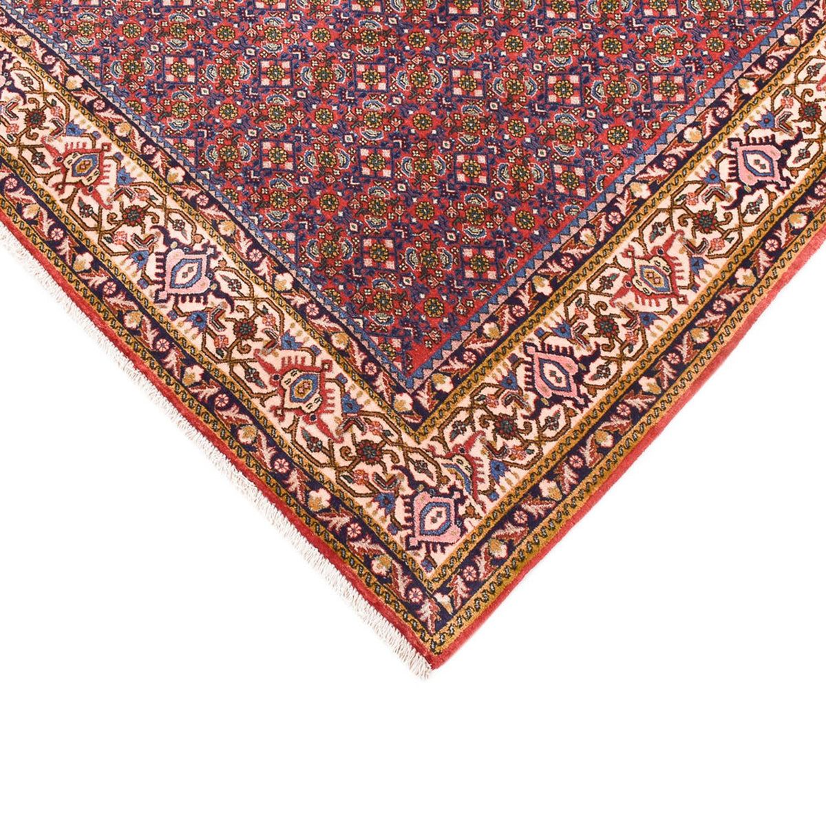 Tappeto Persero - Bidjar - 315 x 214 cm - ruggine