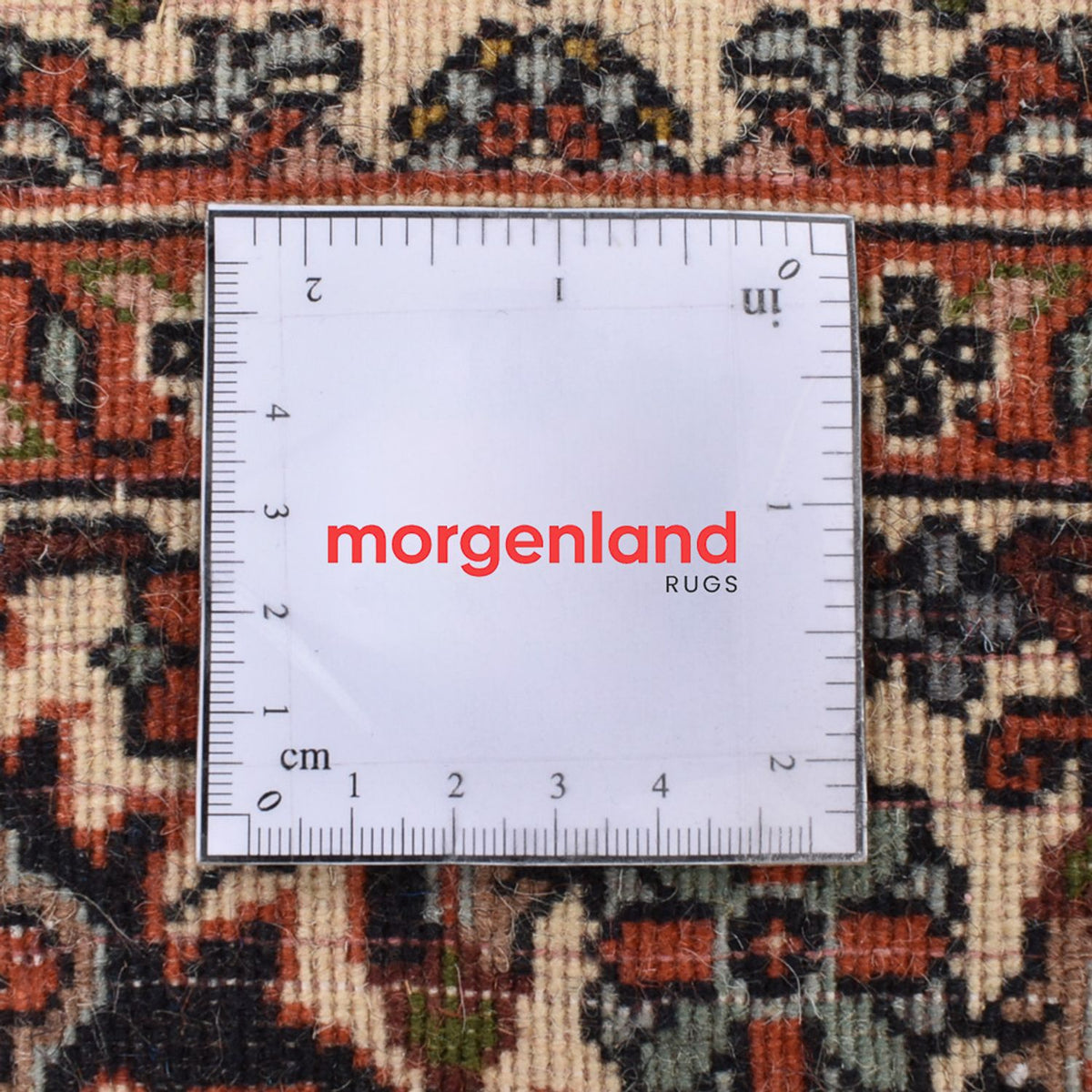 Tappeto Persero - Bidjar - 175 x 108 cm - ruggine