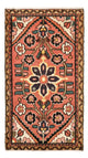 Hamadan Tappeto 100x54cm - Tappeto persiano