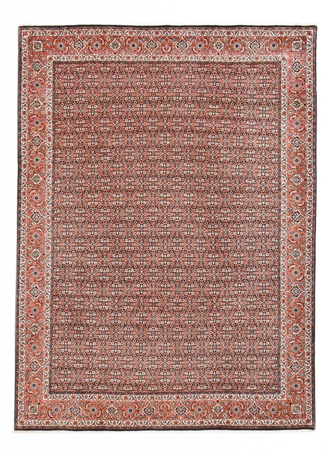 Tappeto Persero - Bidjar - 350 x 252 cm - ruggine
