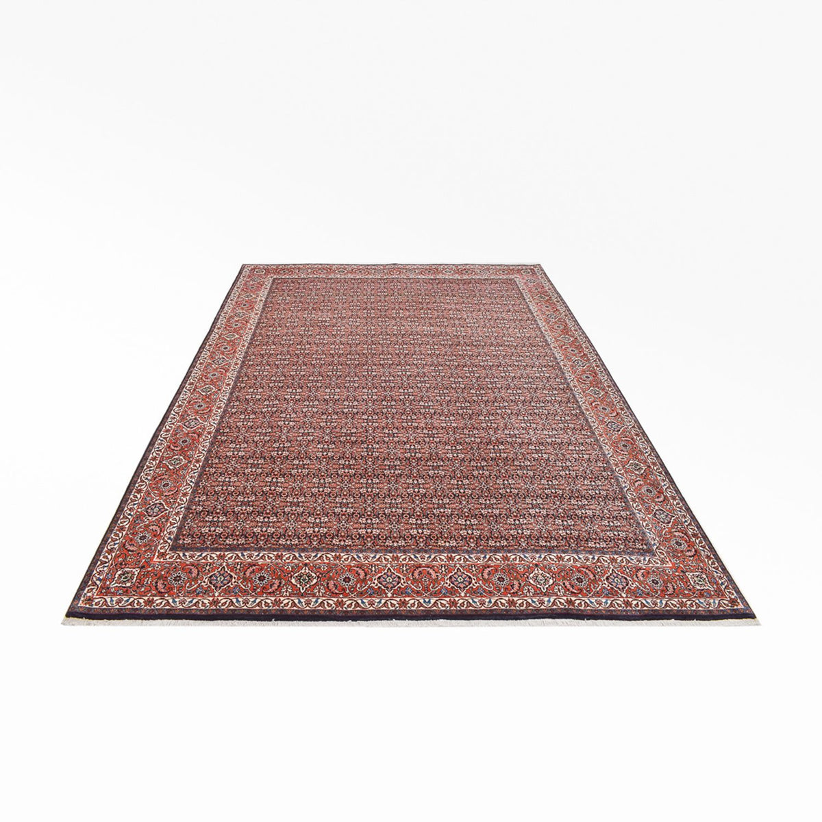 Tappeto Persero - Bidjar - 350 x 252 cm - ruggine