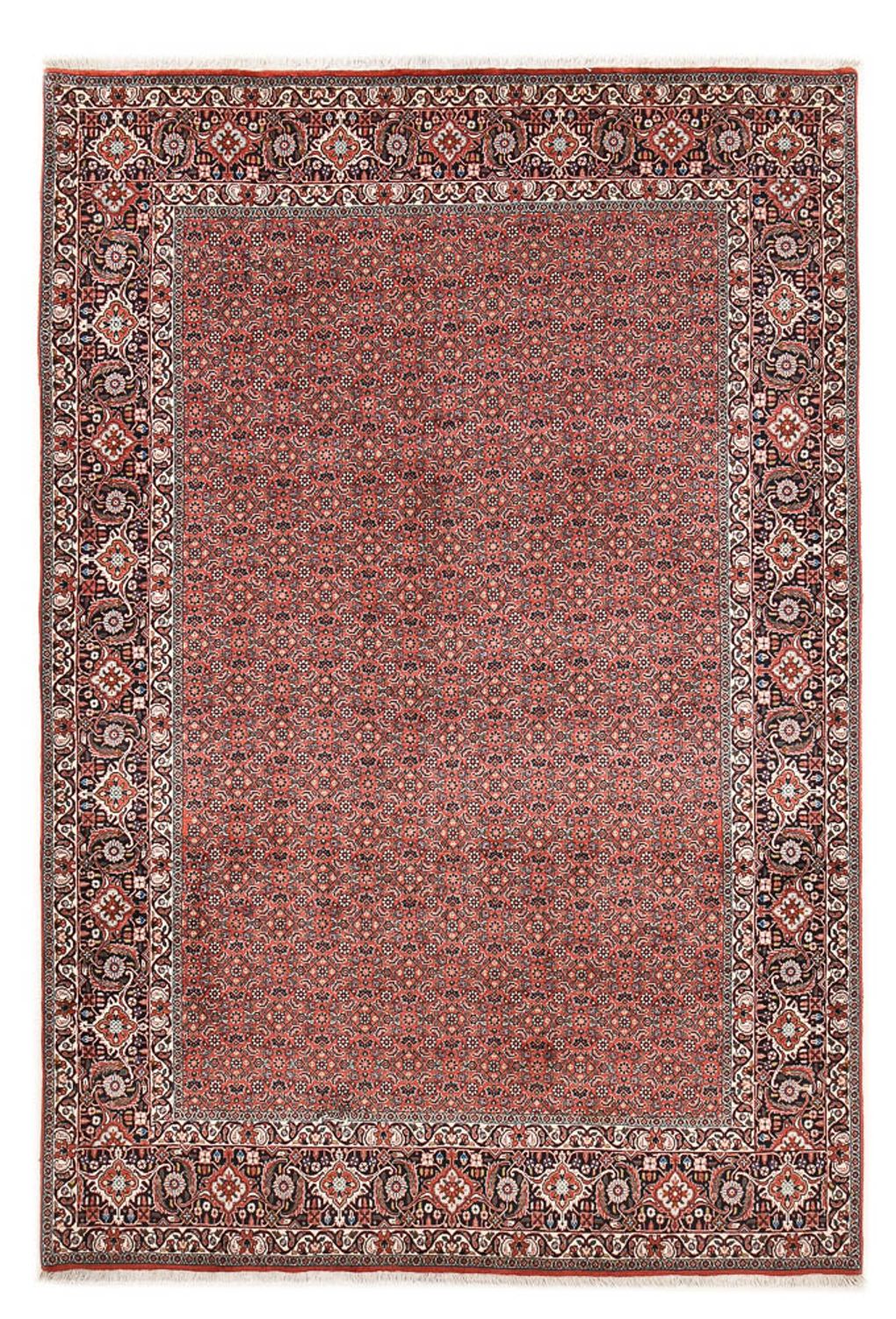 Tappeto Persero - Bidjar - 300 x 203 cm - ruggine