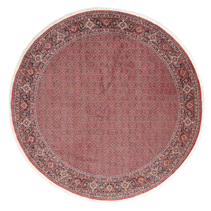Tappeto Persero - Bidjar rotondo  - 305 x 305 cm - rosso chiaro