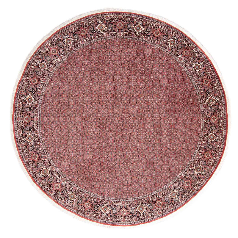 Tappeto Persero - Bidjar rotondo  - 305 x 305 cm - rosso chiaro