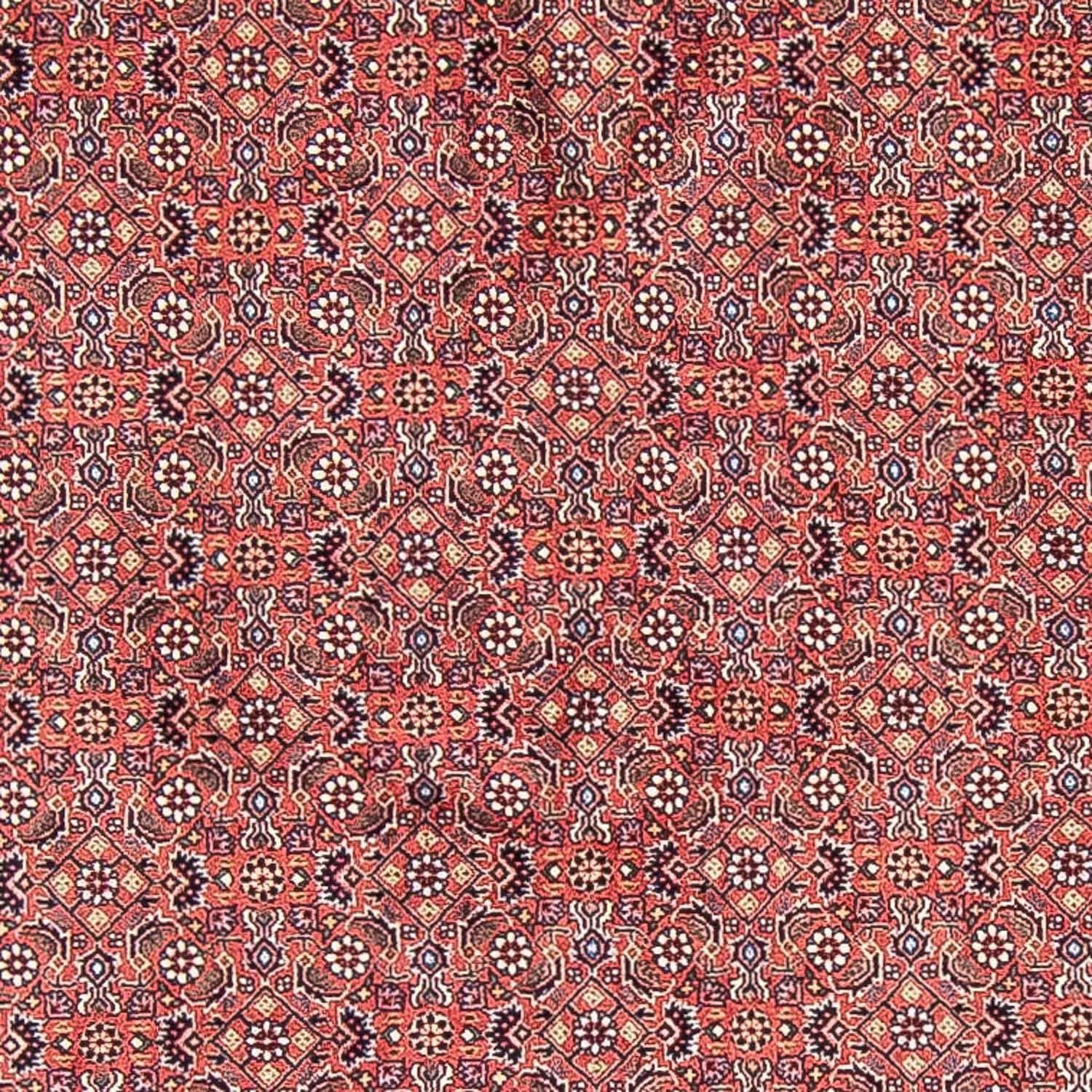 Tappeto Persero - Bidjar rotondo  - 305 x 305 cm - rosso chiaro