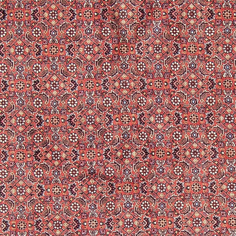 Tappeto Persero - Bidjar rotondo  - 305 x 305 cm - rosso chiaro