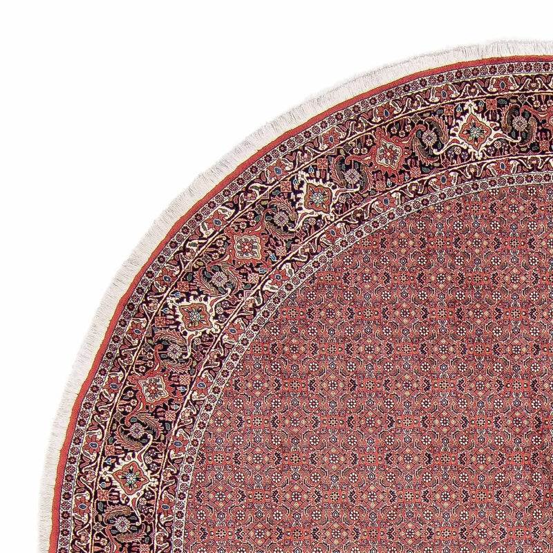 Tappeto Persero - Bidjar rotondo  - 305 x 305 cm - rosso chiaro