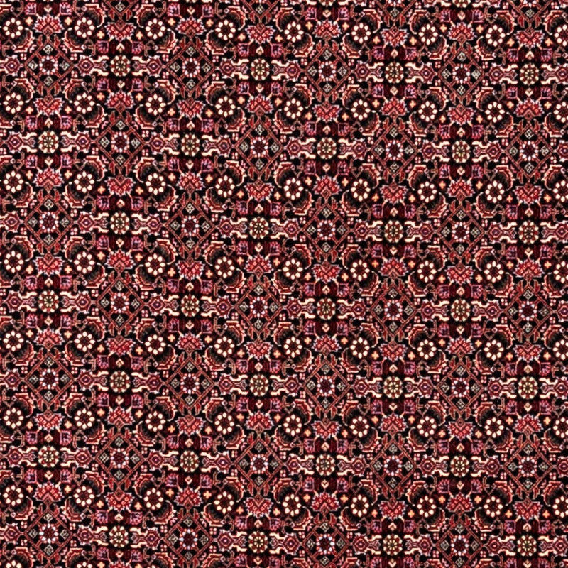 Tappeto Persero - Bidjar - 346 x 250 cm - rosso scuro