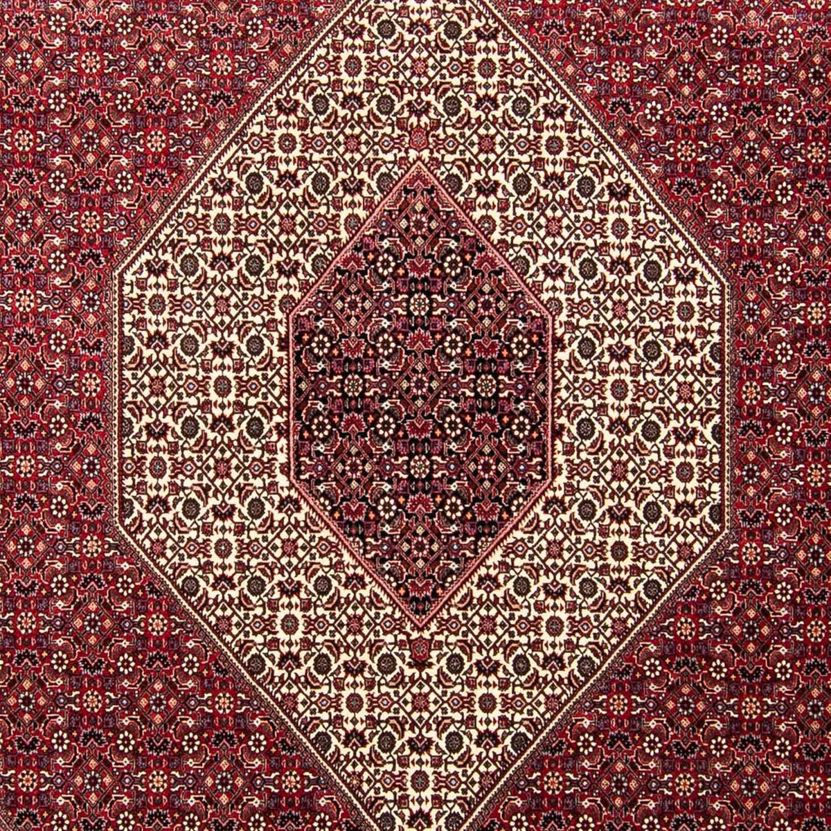 Tappeto Persero - Bidjar - 303 x 250 cm - rosso scuro
