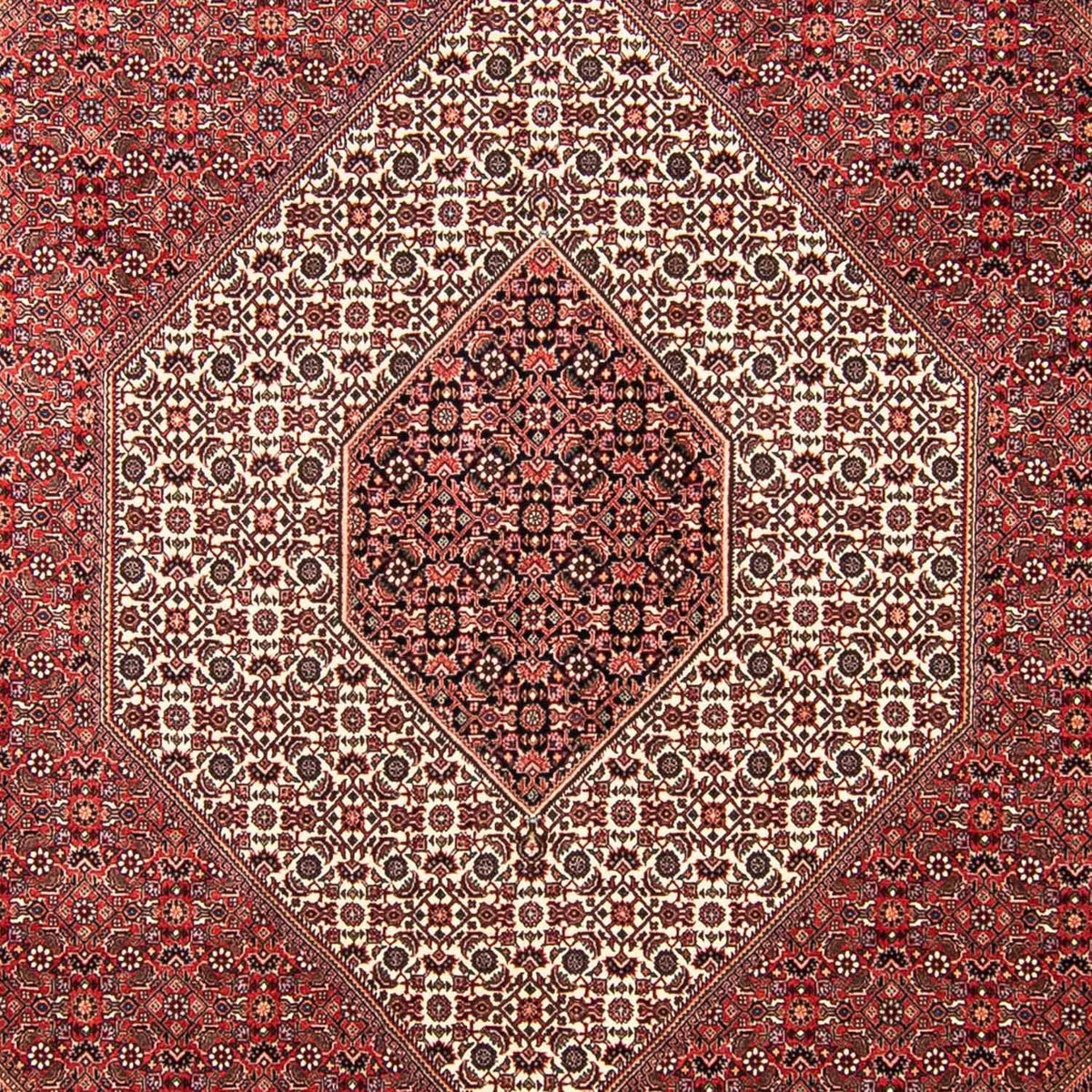 Tappeto Persero - Bidjar - 309 x 256 cm - rosso scuro