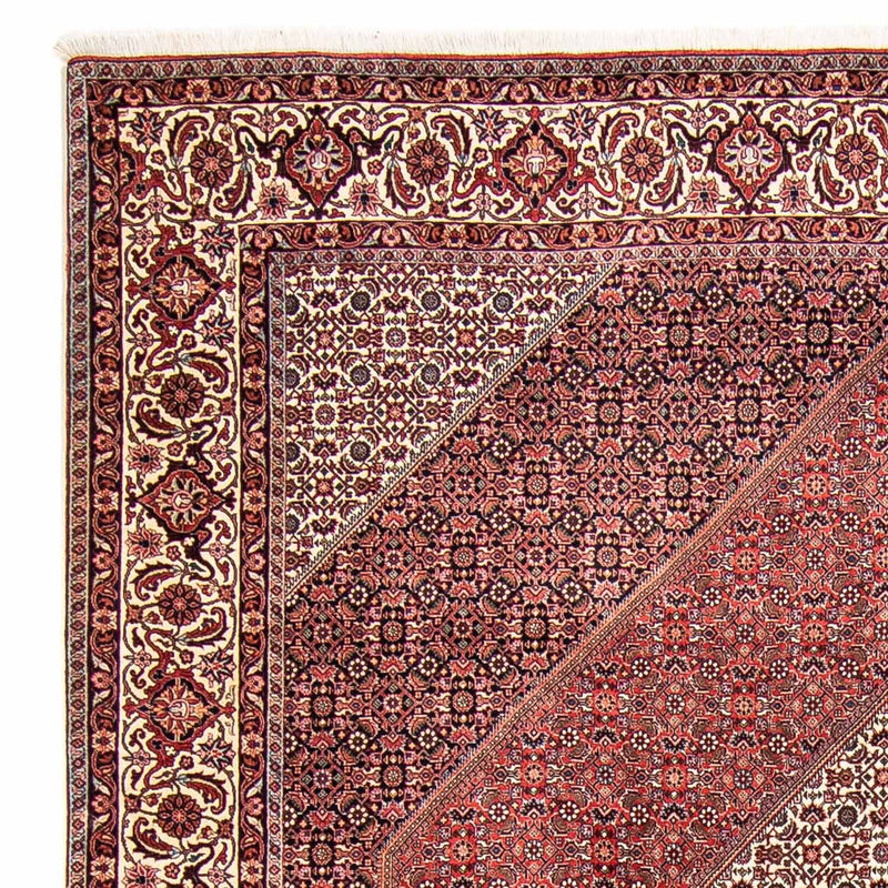 Tappeto Persero - Bidjar - 309 x 256 cm - rosso scuro