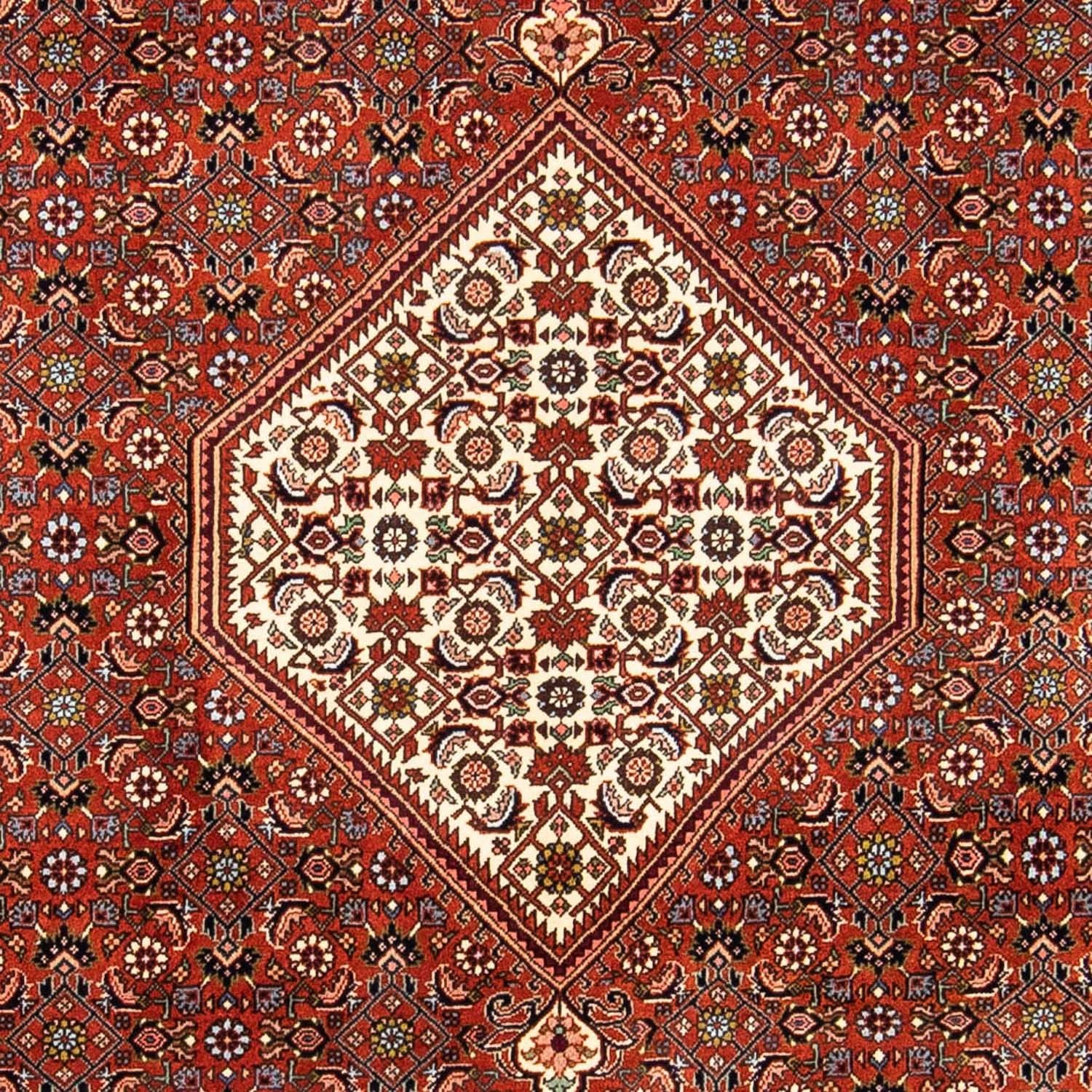 Tappeto Persero - Bidjar - 245 x 167 cm - marrone